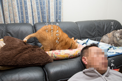 いい場所争奪戦ふたたび_d0355333_16363166.jpg