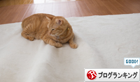抵抗勢力、その実力は。_d0355333_16370523.jpg