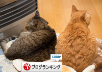 こだわり笑子たん_d0355333_16370803.jpg