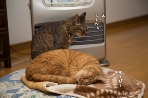 良い場所はやっぱり_d0355333_16370828.jpg