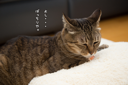 こだわり笑子たん_d0355333_16370987.jpg