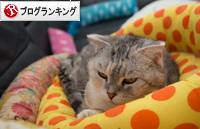 二段重ね。_d0355333_16371018.jpg