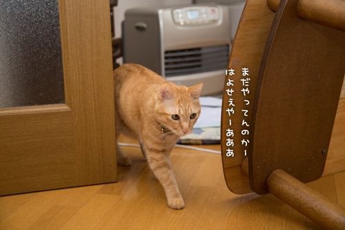 二段重ね。_d0355333_16371044.jpg