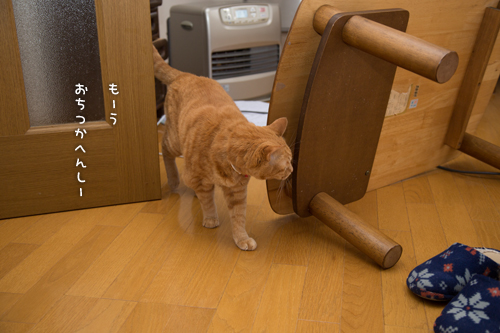 二段重ね。_d0355333_16371062.jpg