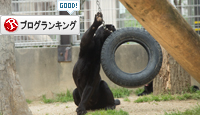 王子動物園へ_d0355333_16371307.jpg