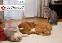 モフモフおなかに_d0355333_16371748.jpg