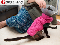いてもたってもいられない_d0355333_16372003.jpg