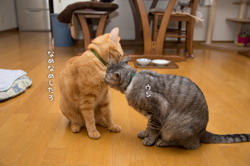いづこへ?_d0355333_16372160.jpg