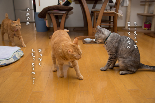 いづこへ?_d0355333_16372224.jpg