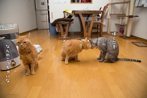 いづこへ?_d0355333_16372260.jpg