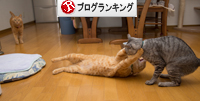 いづこへ?_d0355333_16372360.jpg