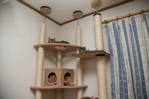 優しさに包まれて_d0355333_16372948.jpg