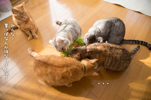 小池さーん_d0355333_16373269.jpg