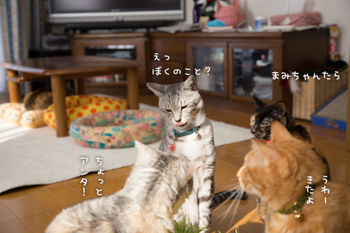 小池さーん_d0355333_16373392.jpg
