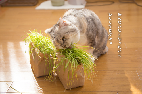 小池さーん_d0355333_16373398.jpg