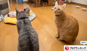 歌いだす~_d0355333_16374505.jpg