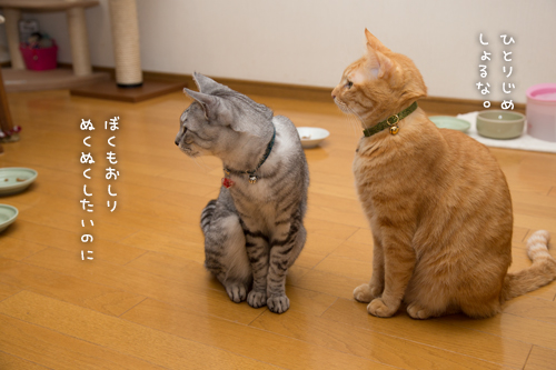 歌いだす~_d0355333_16374539.jpg