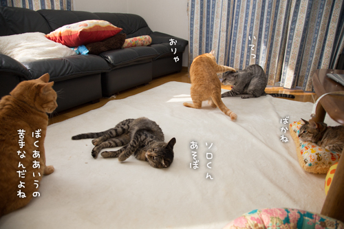もしかして、それは・・・!_d0355333_16374809.jpg