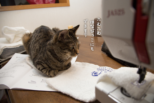 役に立たないお手伝い隊_d0355333_16375440.jpg