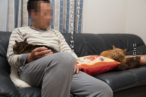 そのうち・・・?え?_d0355333_16375620.jpg