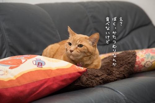 そのうち・・・?え?_d0355333_16375691.jpg