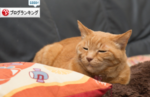 そのうち・・・?え?_d0355333_16375755.jpg