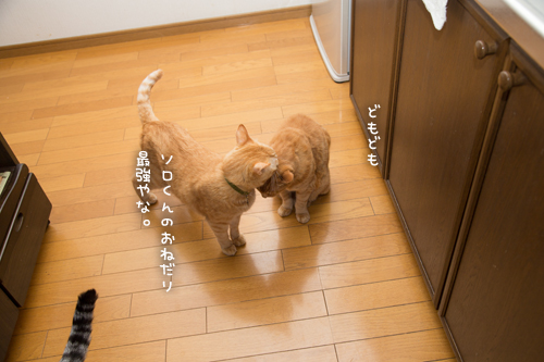 早飯。_d0355333_16380202.jpg