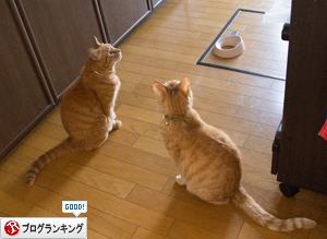 早飯。_d0355333_16380344.jpg