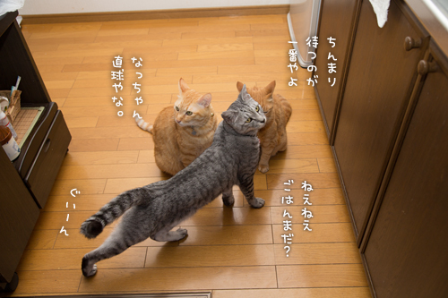 早飯。_d0355333_16380349.jpg