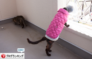 パワーチャージ!_d0355333_16382125.jpg