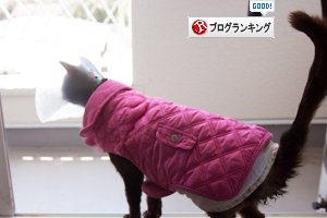 ため息~(´・ω・`)_d0355333_16382133.jpg