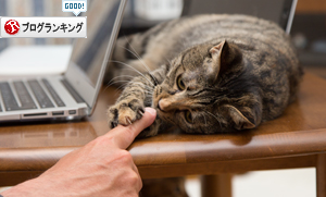 はなびっこの悩み事_d0355333_16382500.jpg