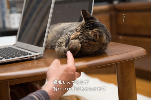 はなびっこの悩み事_d0355333_16382512.jpg