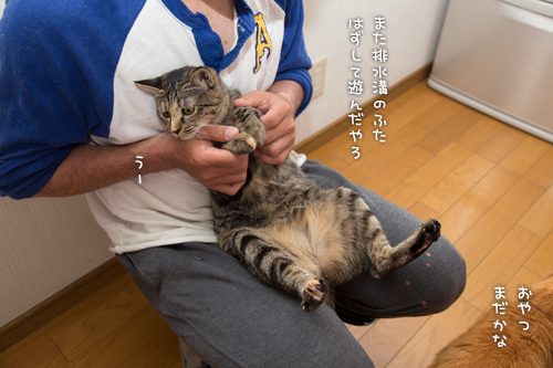 悪い子はなびっこ_d0355333_16382722.jpg