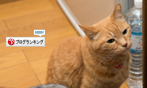 かつお祭り_d0355333_16383572.jpg