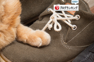 朝の幸せ。_d0355333_16384150.jpg
