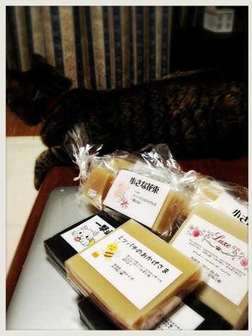 りさの巣_d0355333_16384986.jpg