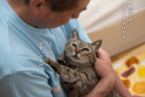 オトメな笑子たん_d0355333_16385252.jpg