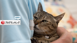 オトメな笑子たん_d0355333_16385293.jpg