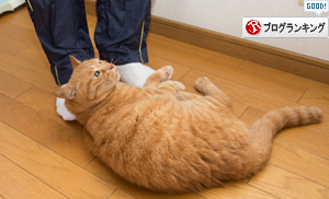 ホヤホヤだ_d0355333_16385952.jpg