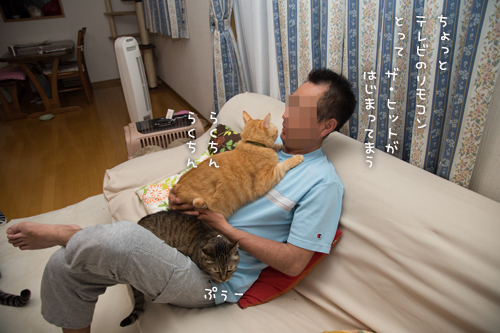 満員御礼。_d0355333_16390701.jpg