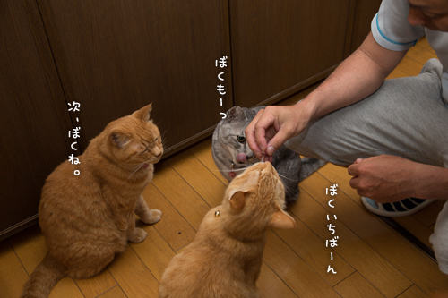 大盤振る舞い_d0355333_16391705.jpg