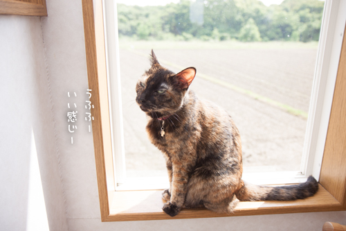 口だけ番長_d0355333_16391844.jpg