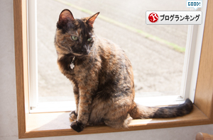 口だけ番長_d0355333_16392070.jpg