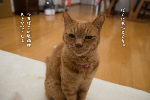 ぼくにもひとくち_d0355333_16392716.jpg