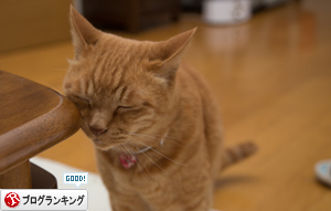 ぼくにもひとくち_d0355333_16392815.jpg