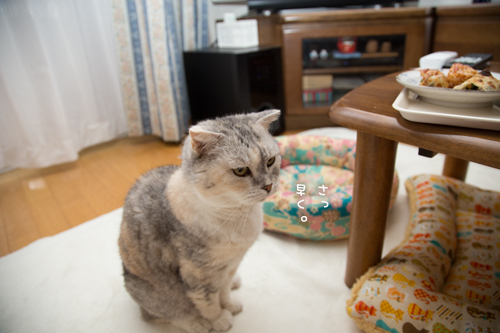 ぼくにもひとくち_d0355333_16392836.jpg