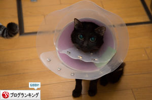 おいしい顔ってどんな顔?_d0355333_16393012.jpg