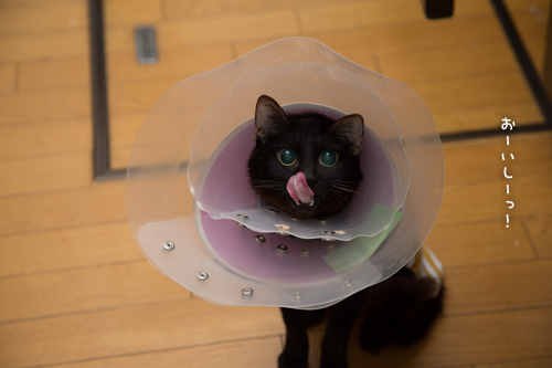 おいしい顔ってどんな顔?_d0355333_16393042.jpg