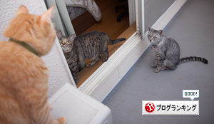 よいこと探し。_d0355333_16393521.jpg